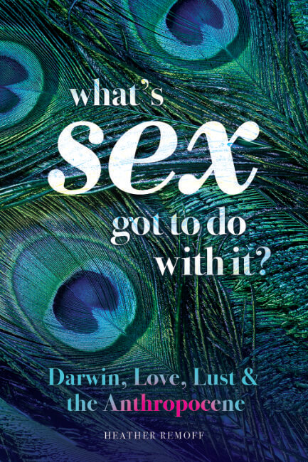 Whats Sex Got to Do With It Book Cover - Heather Remoff - Shepheard Walwyn Publishers.jpg